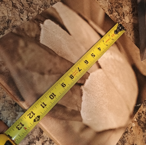 Floral Canvas Art Set in Brown and Cream - Picture 3 of 5